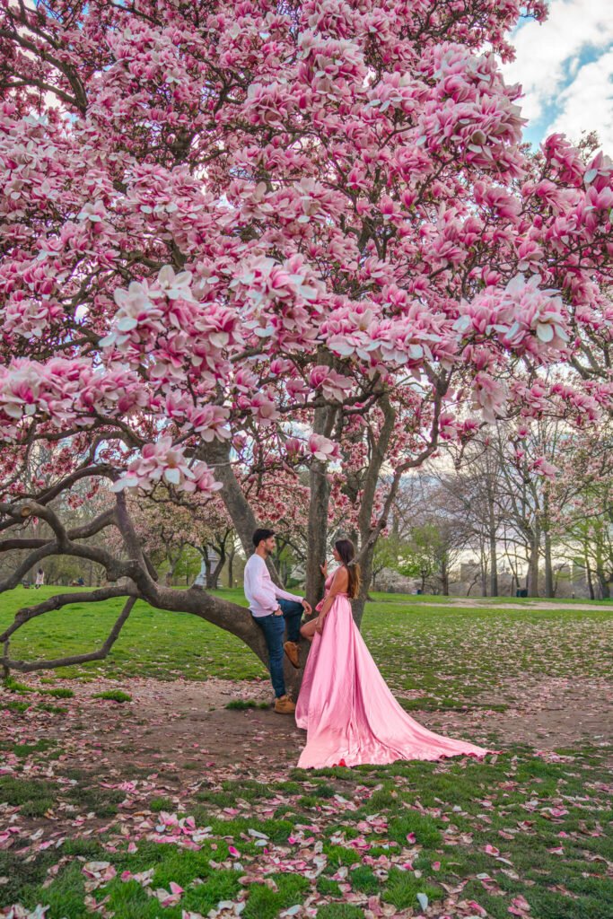 Central Park cherry blossom photoshoot with a light pink flying dress